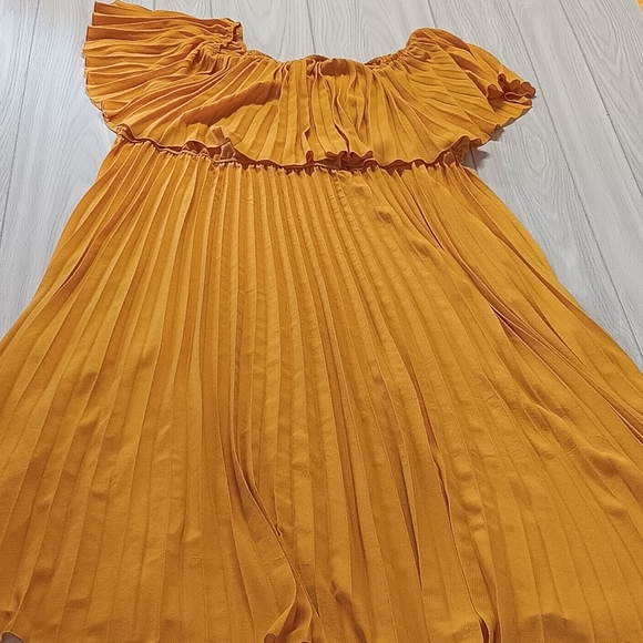 Plus Size Off Shoulder Pleated Dress - Picture 4 of 16